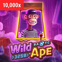 Hỗ trợ Live Chat 24/7